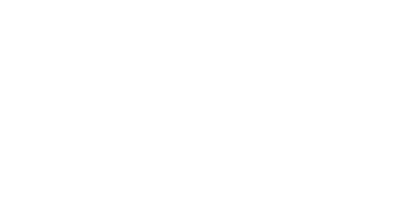 넷엔터테인먼트 logo